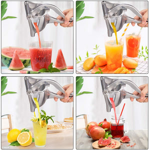 Manual Juice Squeezer Aluminum Alloy Hand Pressure Juicer